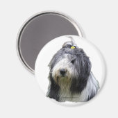 Bartollie Magnet (Vorderseite/Rückseite)