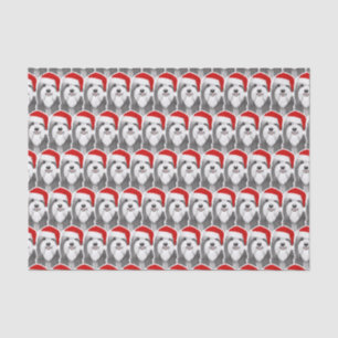 Bartollie mit Weihnachtsmannmütze Weihnachten Gemu Seidenpapier