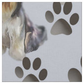 Bartollie Nahtloses Gewebe Stoff (Nahaufnahme)