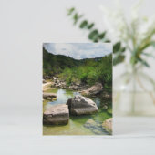 Barton Creek 2 - Austin Texas Postkarte (Stehend Vorderseite)