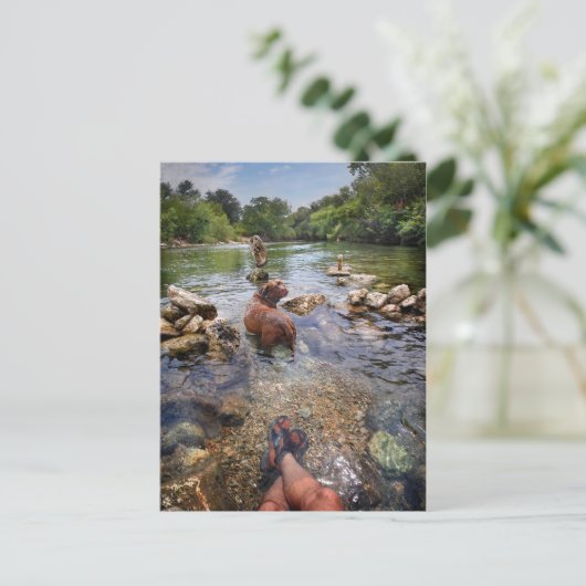 Barton Creek Dog Paparazzi - Austin Texas Postkarte (Stehend Vorderseite)