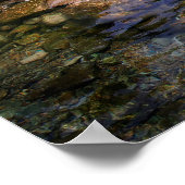 Barton Creek Dog Schwimmhalle - Austin Texas Poster (Ecke)