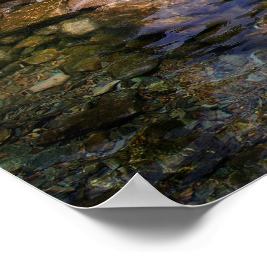 Barton Creek Dog Schwimmhalle - Austin Texas Poster (Ecke)