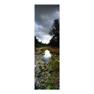Barton Creek Dry - Austin Texas Fotodruck