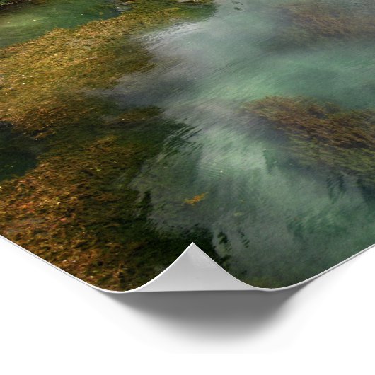 Barton Creek Kayaks - Austin Texas Poster (Ecke)