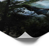 Barton Creek / Ladybird Lake - Austin, Texas Poster (Ecke)