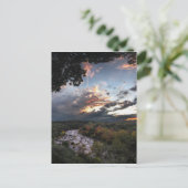 Barton Creek Sunset - Austin, Texas Postkarte (Stehend Vorderseite)