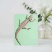 Bartondrache Postkarte (Stehend Vorderseite)