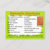 Bartonella Fact Educational Card Visitenkarte (Rückseite)