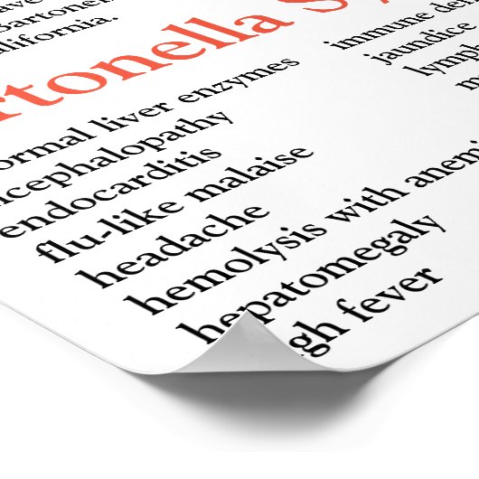 Bartonella Information Factsheet Poster (Ecke)