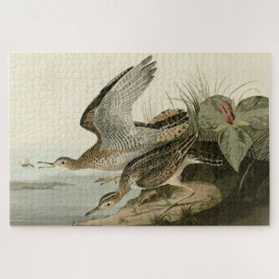 Bartram (Upland) Sandpiper - Audubon Birds America Puzzle