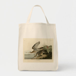 Bartram (Upland) Sandpiper - Audubon Birds America Tragetasche