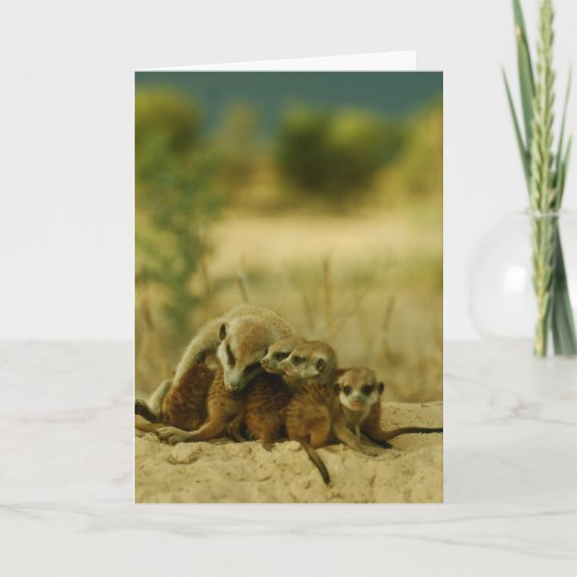 Bartwelpen - KMP Karte 19 (Vorderseite)