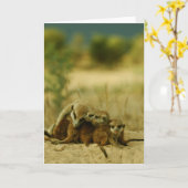 Bartwelpen - KMP Karte 19 (Gelbe Blume)