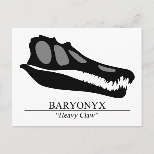 Baryonyx Skull Postkarte (Vorderseite)