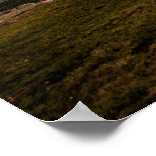 Bärzahnautobahn Sunset Poster (Ecke)