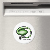 Basal Ganglia Magnet (In Situ (Geschirrspüler))