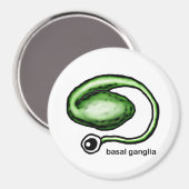Basal Ganglia Magnet (Vorderseite/Rückseite)