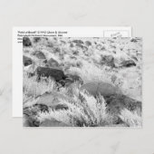 Basalt Lava Felsen in Wüste, Schwarz und Weiß Foto Postkarte (Vorne/Hinten)