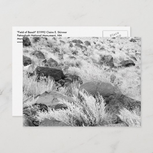 Basalt Lava Felsen in Wüste, Schwarz und Weiß Foto Postkarte (Vorne/Hinten)