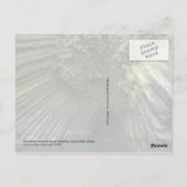 Basaltbildung Columnar, Insel Akun, Alaska Postkarte (Rückseite)