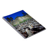 Basaltbildung der Teufel Notizblock (Rechte Seite)