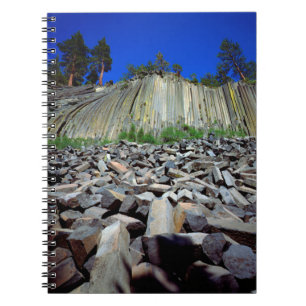Basaltformationen von Devils Postpile Notizblock