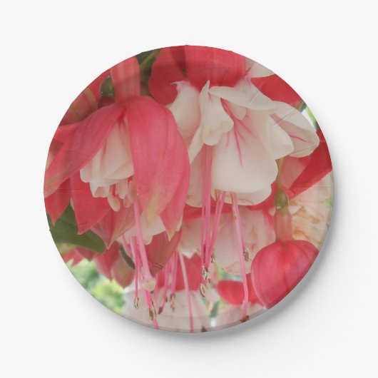 Baschkirtseff Pappteller (Vorderseite)