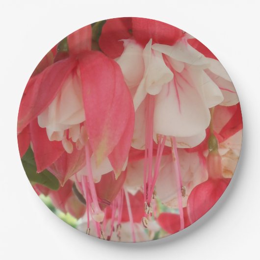 Baschkirtseff Pappteller (Vorderseite)
