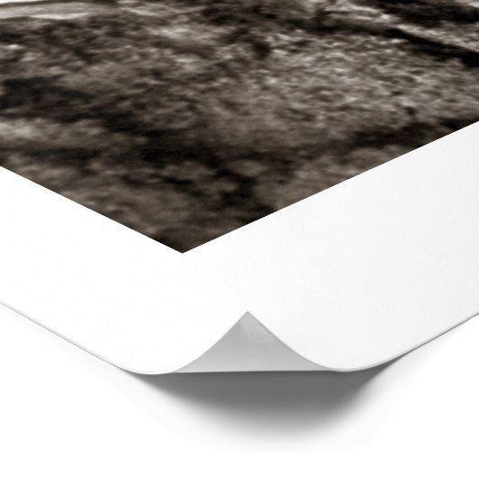 Baseball1 Poster Print (Ecke)