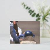 Baseball 5 postkarte (Stehend Vorderseite)