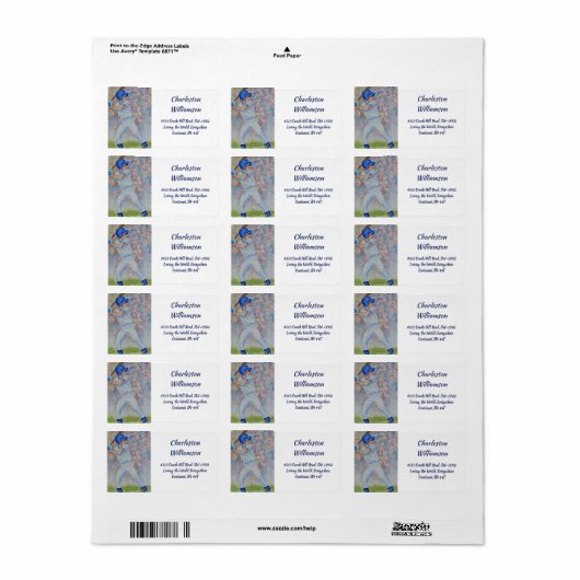 Baseball-Adresse Adressaufkleber (Vorne)