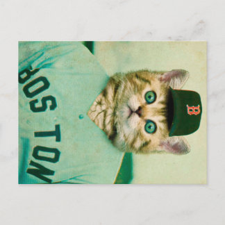 Baseball Cat Postkarte