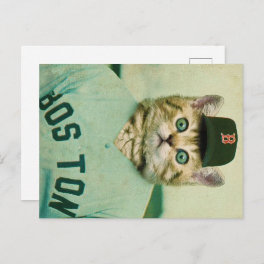 Baseball Cat Postkarte (Vorne/Hinten)