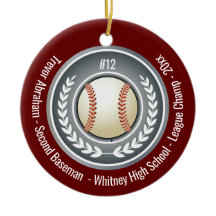 Baseball Champion Player School Silver Gray Red