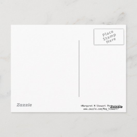 Baseball Danke, Postcard Postkarte (Rückseite)