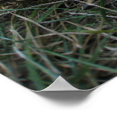 Baseball Dreams Foto Poster (Ecke)