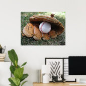 Baseball Dreams Foto Poster (Heimbüro)