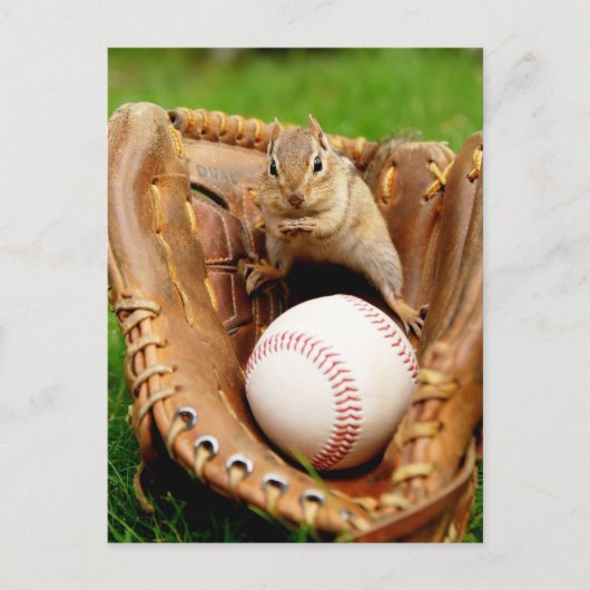 Baseball Fan Chipmunk Postkarte (Vorderseite)