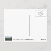 Baseball Field near Morgantown, WV Postkarten (Rückseite)