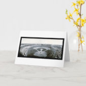 Baseball-Foto 1908 CUBs Giants Karte (Gelbe Blume)