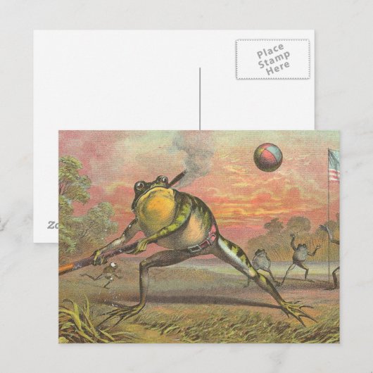 Baseball Frog Postkarte (Vorne/Hinten)