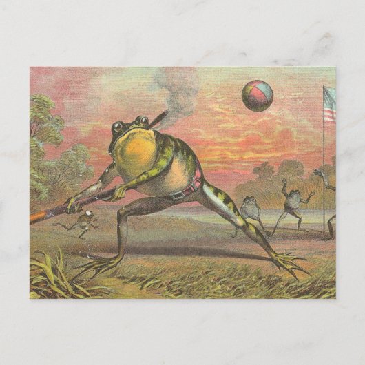 Baseball Frog Postkarte (Vorderseite)