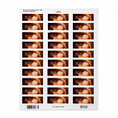 Baseball Glove Mailing Labels (Vorne)