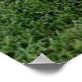 Baseball Glove Poster (Ecke)