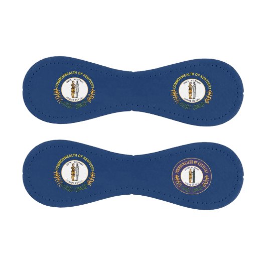 Baseball-Kentucky-Flagge Baseball (Paneele)