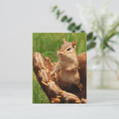 Baseball Loving Chipmunk Postkarte (Stehend Vorderseite)