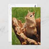 Baseball Loving Chipmunk Postkarte (Vorne/Hinten)