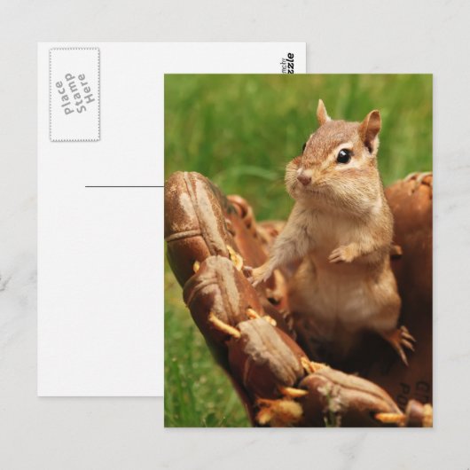 Baseball Loving Chipmunk Postkarte (Vorne/Hinten)
