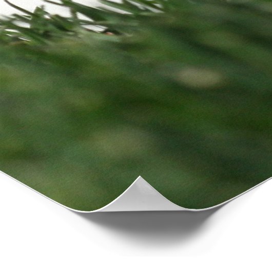 Baseball Mound Poster (Ecke)